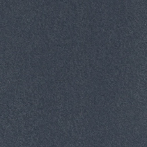 Charlotte - V803 - Navy - Fabric by the Yard Navy