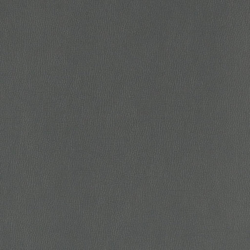 Charlotte - V805 - Coal - Fabric by the Yard Coal