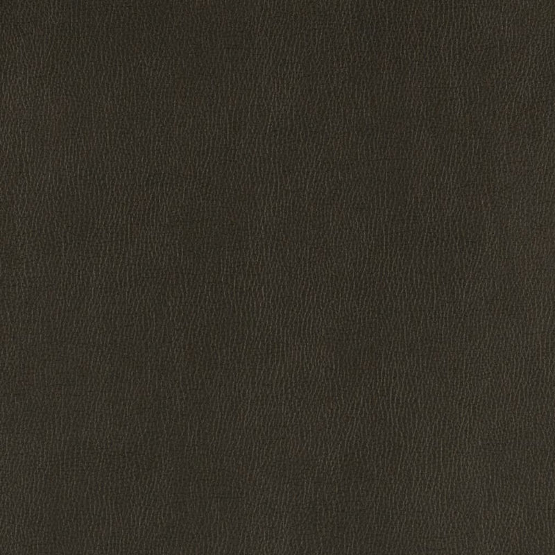 Charlotte - V806 - Onyx - Fabric by the Yard Onyx