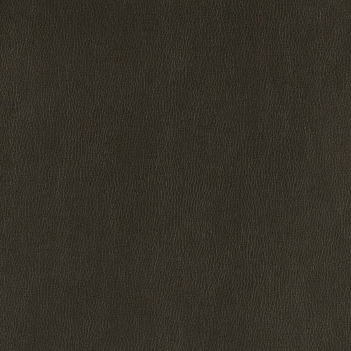 Charlotte - V806 - Onyx - Fabric by the Yard Onyx