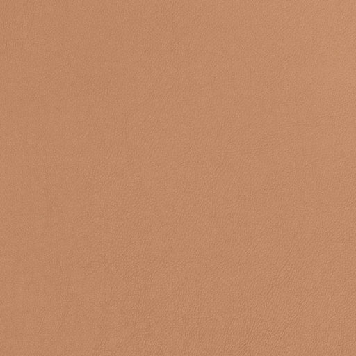 Charlotte - V810 - Caramel - Fabric by the Yard Caramel