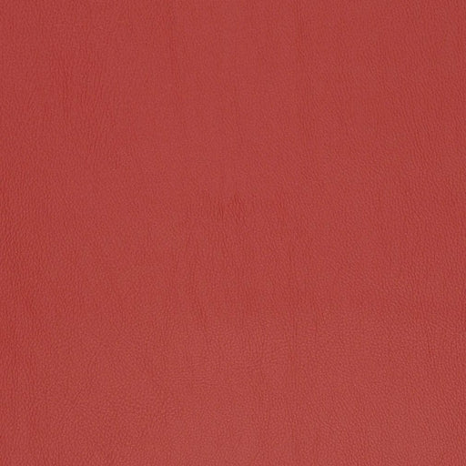 Charlotte - V811 - Crimson - Fabric by the Yard Crimson