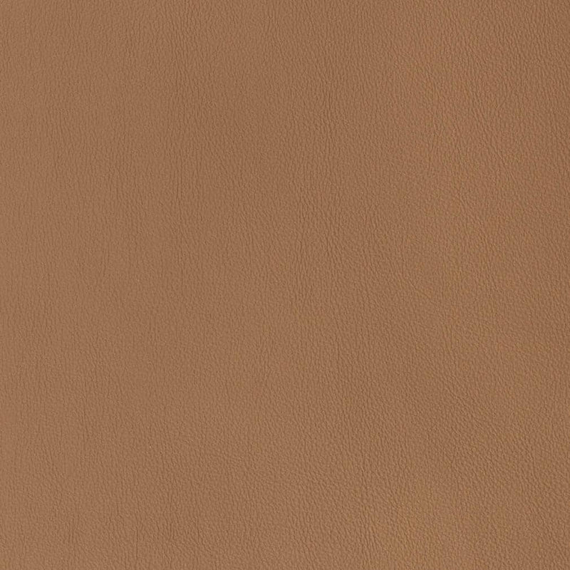 Charlotte - V813 - Acorn - Fabric by the Yard Acorn