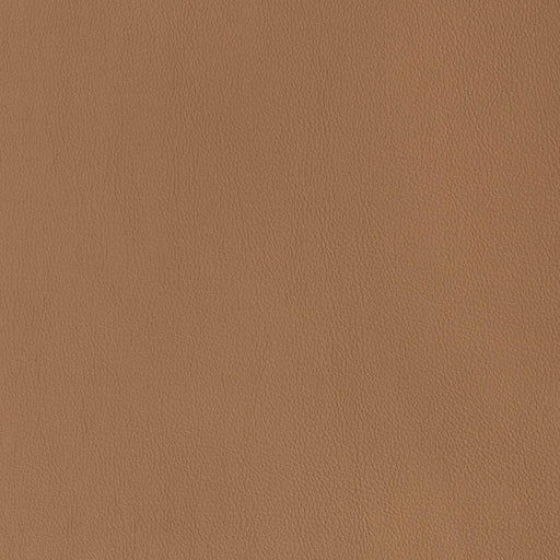 Charlotte - V813 - Acorn - Fabric by the Yard Acorn