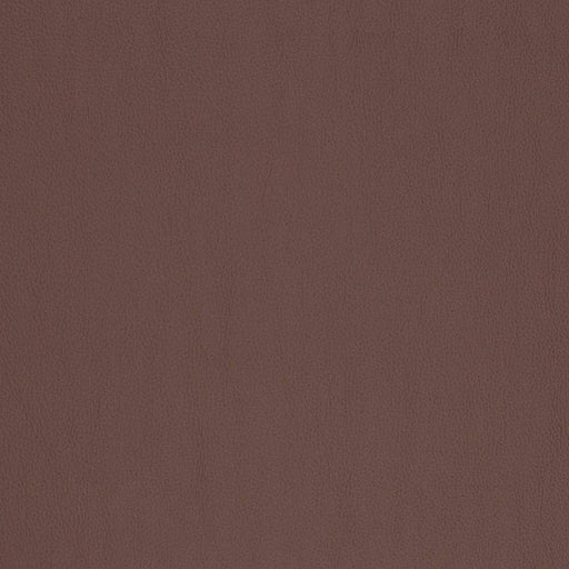 Charlotte - V815 - Chocolate - Fabric by the Yard Chocolate