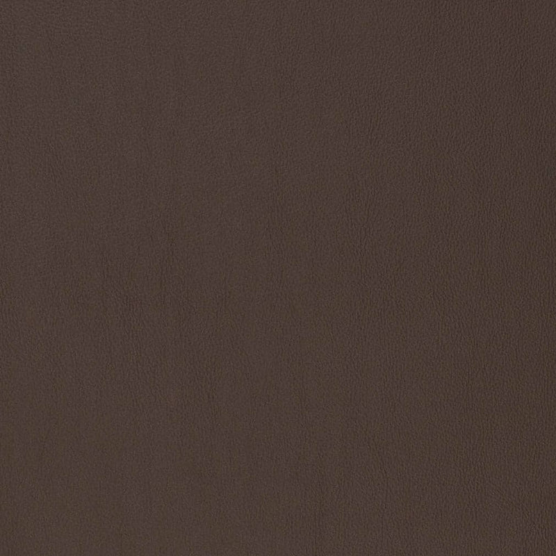 Charlotte - V816 - Umber - Fabric by the Yard Umber