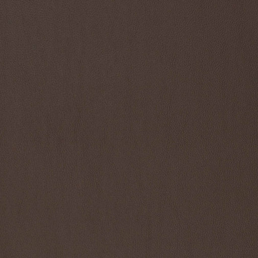 Charlotte - V816 - Umber - Fabric by the Yard Umber