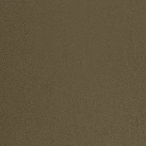 Charlotte - V817 - Army - Fabric by the Yard Army