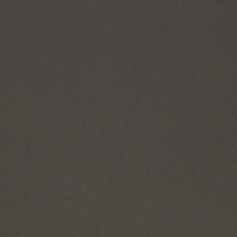 Charlotte - V819 - Shadow - Fabric by the Yard Shadow
