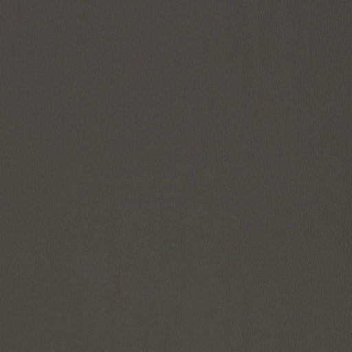 Charlotte - V819 - Shadow - Fabric by the Yard Shadow
