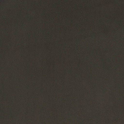Charlotte - V822 - Midnight - Fabric by the Yard Midnight