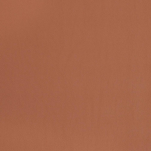 Charlotte - V823 - Clay - Fabric by the Yard Clay