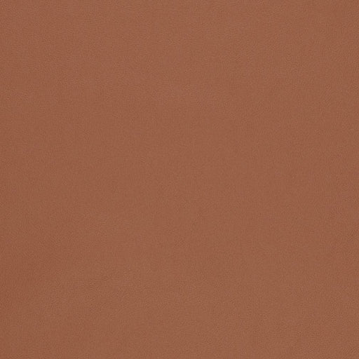 Charlotte - V824 - Adobe - Fabric by the Yard Adobe