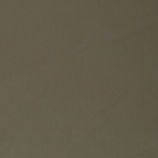 Charlotte - V826 - Olive - Fabric by the Yard Olive
