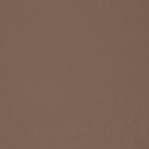 Charlotte - V828 - Cedar - Fabric by the Yard Cedar