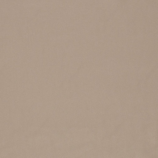 Charlotte - V829 - Dune - Fabric by the Yard Dune