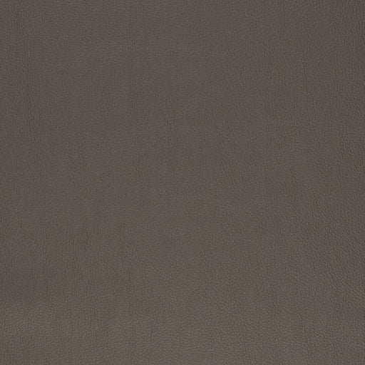 Charlotte - V831 - Chestnut - Fabric by the Yard Chestnut
