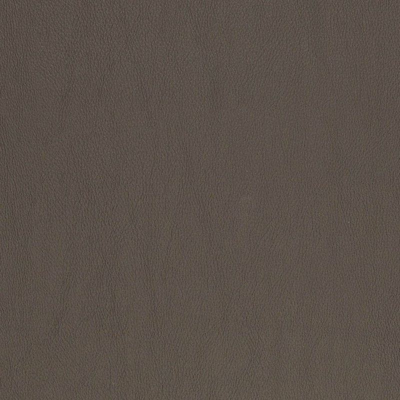 Charlotte - V833 - Graphite - Fabric by the Yard Graphite