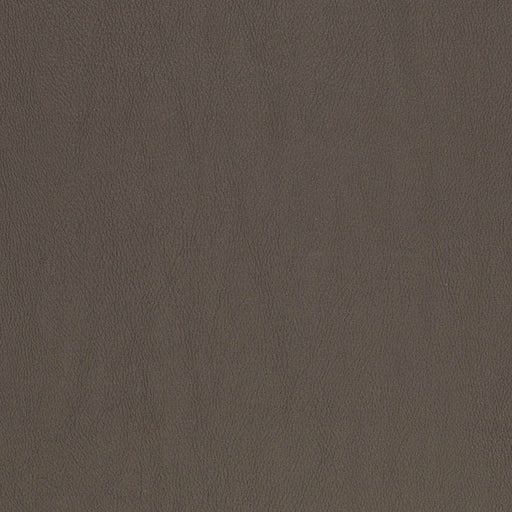 Charlotte - V833 - Graphite - Fabric by the Yard Graphite