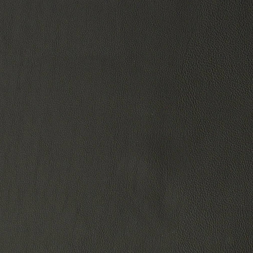 Charlotte - V838 - Coal - Fabric by the Yard Coal