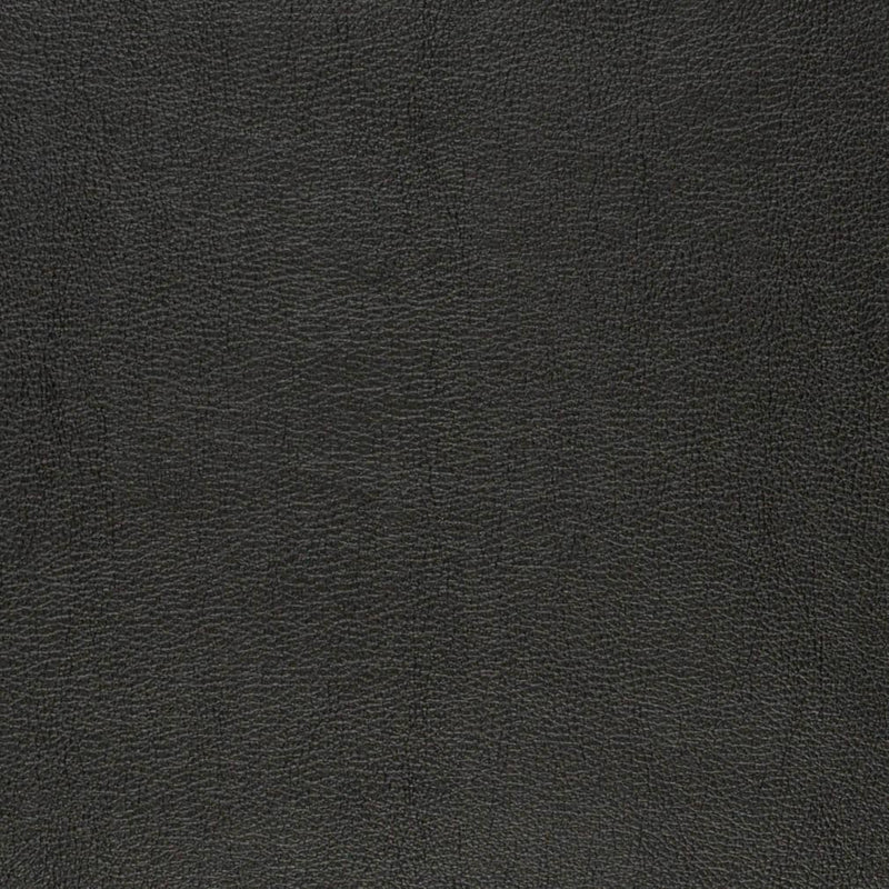 Charlotte - V852 - Raven - Fabric by the Yard