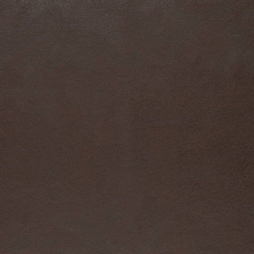 Charlotte - V856 - Chocolate - Fabric by the Yard Chocolate