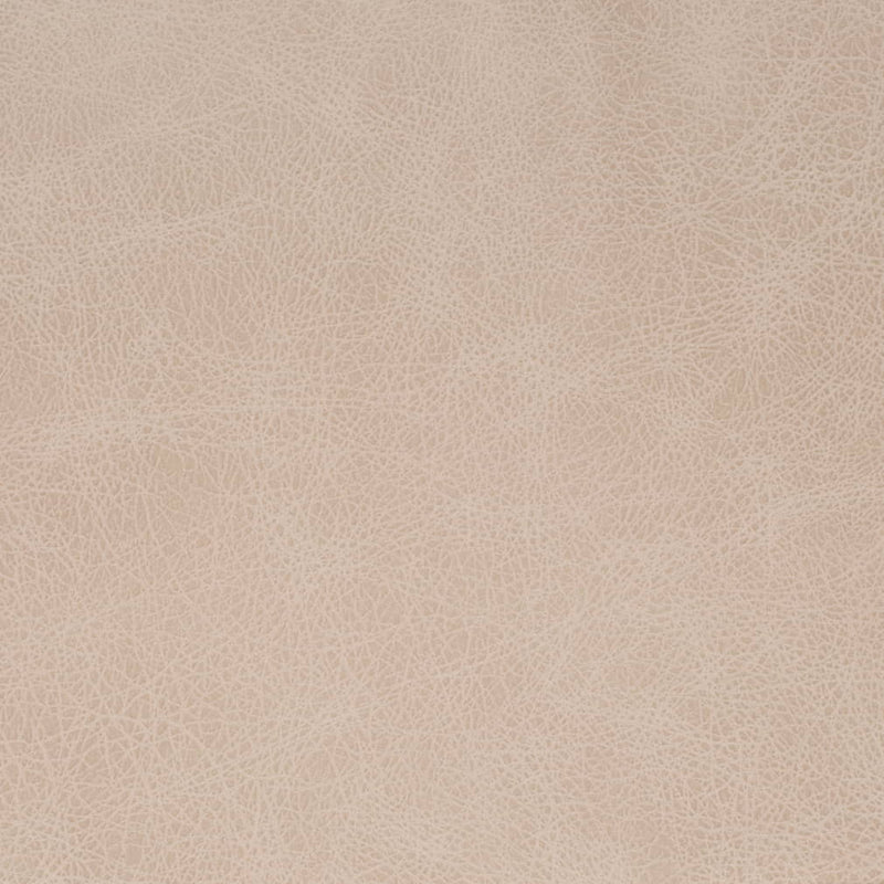 Charlotte - V857 - Fog - Fabric by the Yard Fog