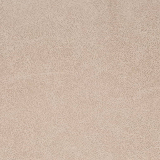 Charlotte - V857 - Fog - Fabric by the Yard Fog