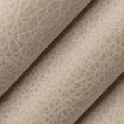 Charlotte - V857 - Fog - Fabric by the Yard - V857 - V857_Rolled