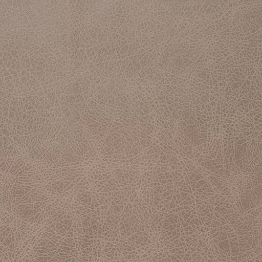 Charlotte - V858 - Latte - Fabric by the Yard Latte