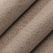 Charlotte - V858 - Latte - Fabric by the Yard - V858 - V858_Rolled