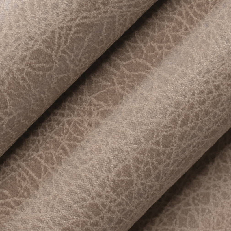 Charlotte - V858 - Latte - Fabric by the Yard - V858 - V858_Rolled