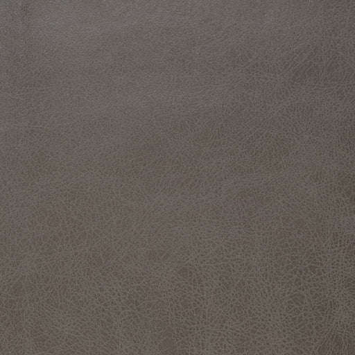 Charlotte - V859 - Steel - Fabric by the Yard Steel