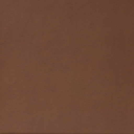 Charlotte - V861 - Rust - Fabric by the Yard Rust