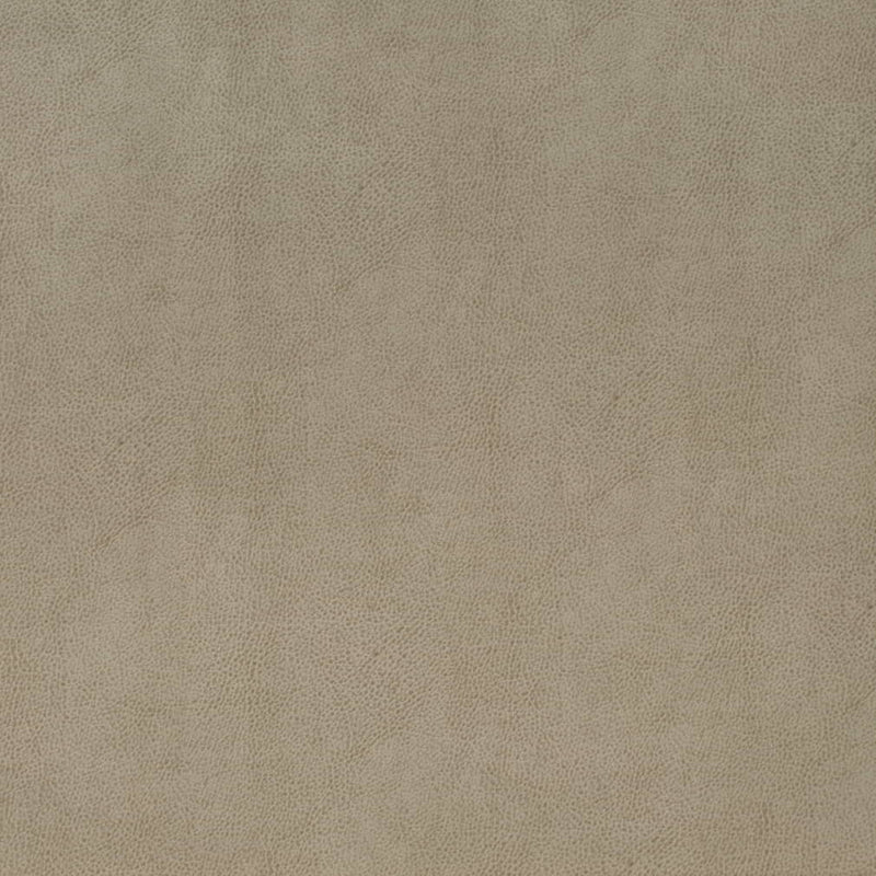 Charlotte - V863 - Flint - Fabric by the Yard Flint