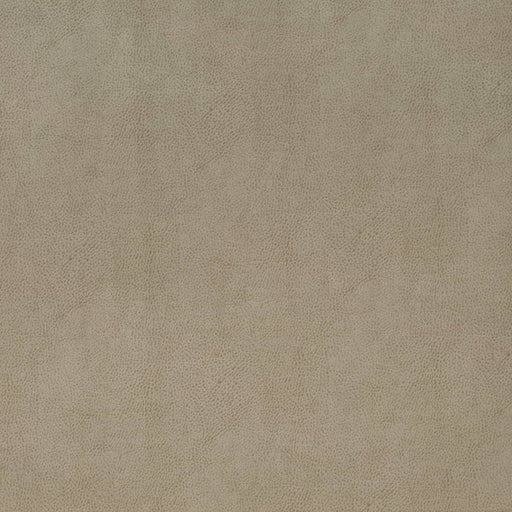 Charlotte - V863 - Flint - Fabric by the Yard Flint