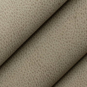 Charlotte - V863 - Flint - Fabric by the Yard - V863 - V863_Rolled