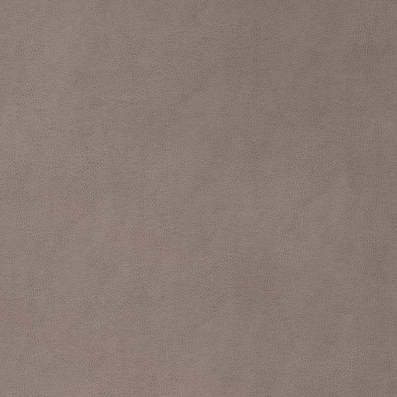 Charlotte - V864 - Slate - Fabric by the Yard Slate