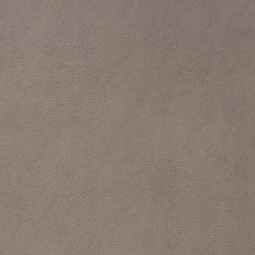 Charlotte - V864 - Slate - Fabric by the Yard Slate