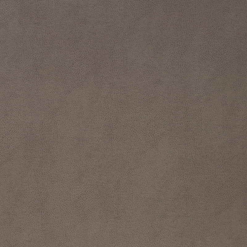 Charlotte - V865 - Pewter - Fabric by the Yard Pewter