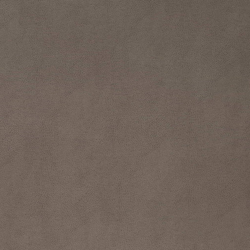Charlotte - V865 - Pewter - Fabric by the Yard Pewter