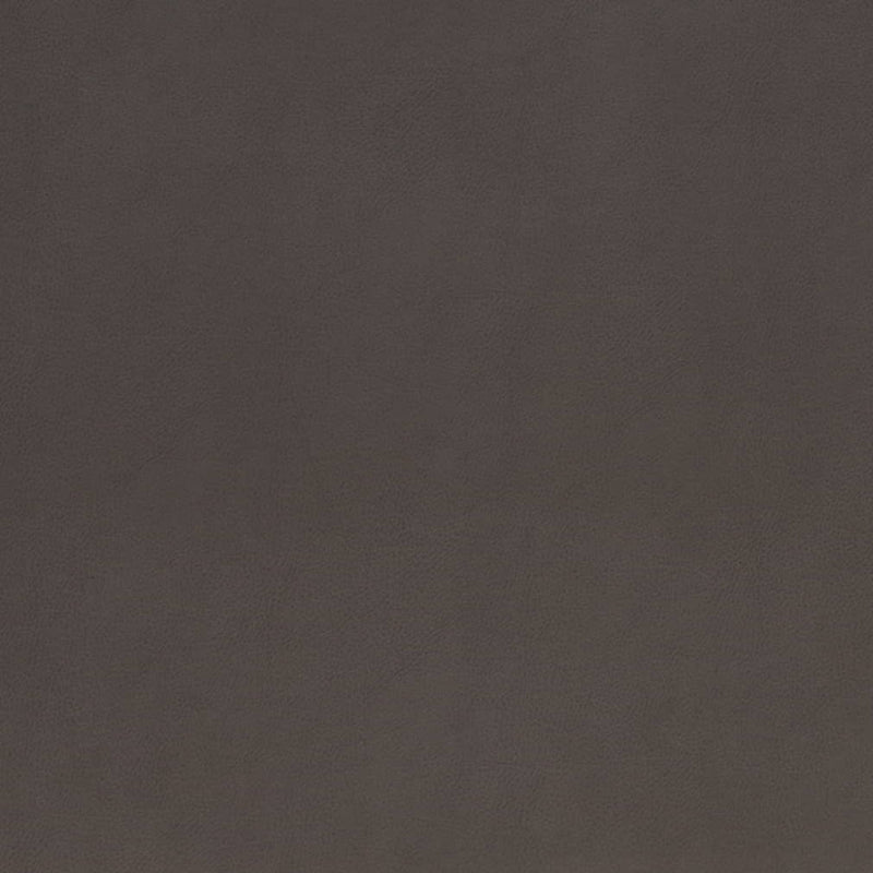 Charlotte - V867 - Onyx - Fabric by the Yard Onyx