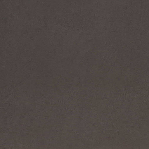 Charlotte - V867 - Onyx - Fabric by the Yard Onyx