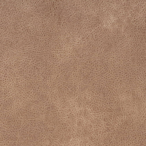Charlotte - V868 - Buckskin - Fabric by the Yard Buckskin