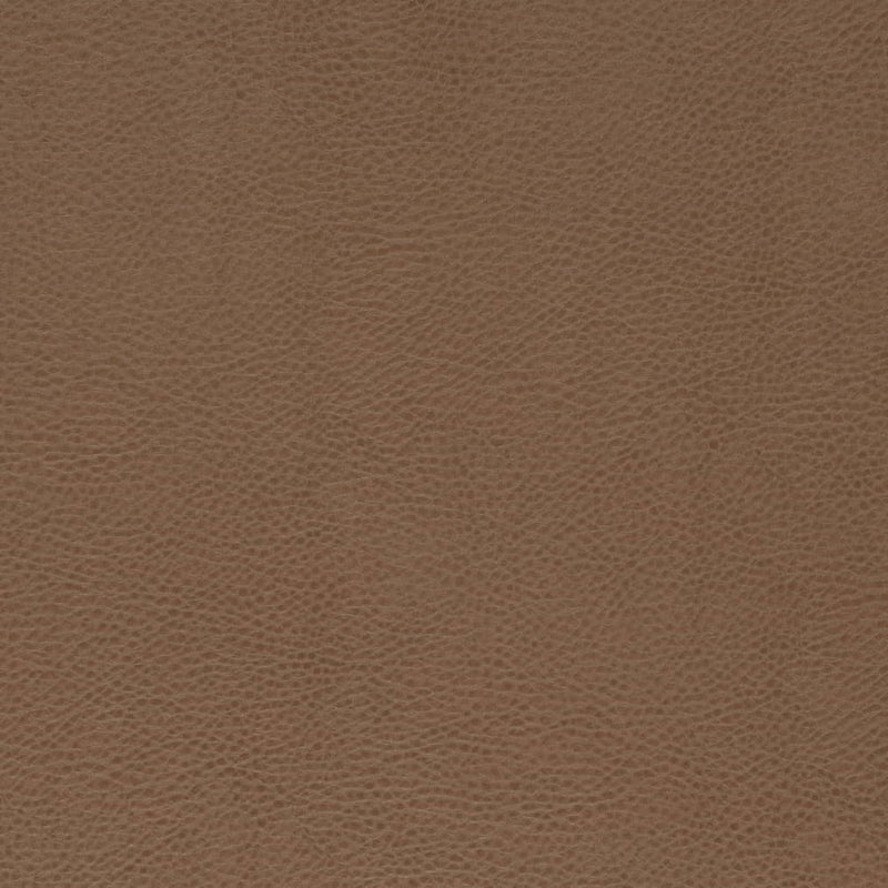 Charlotte - V869 - Bronze - Fabric by the Yard Bronze