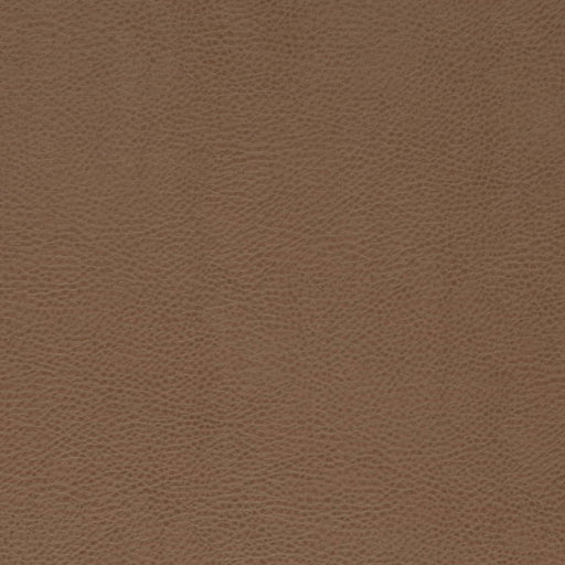 Charlotte - V869 - Bronze - Fabric by the Yard Bronze