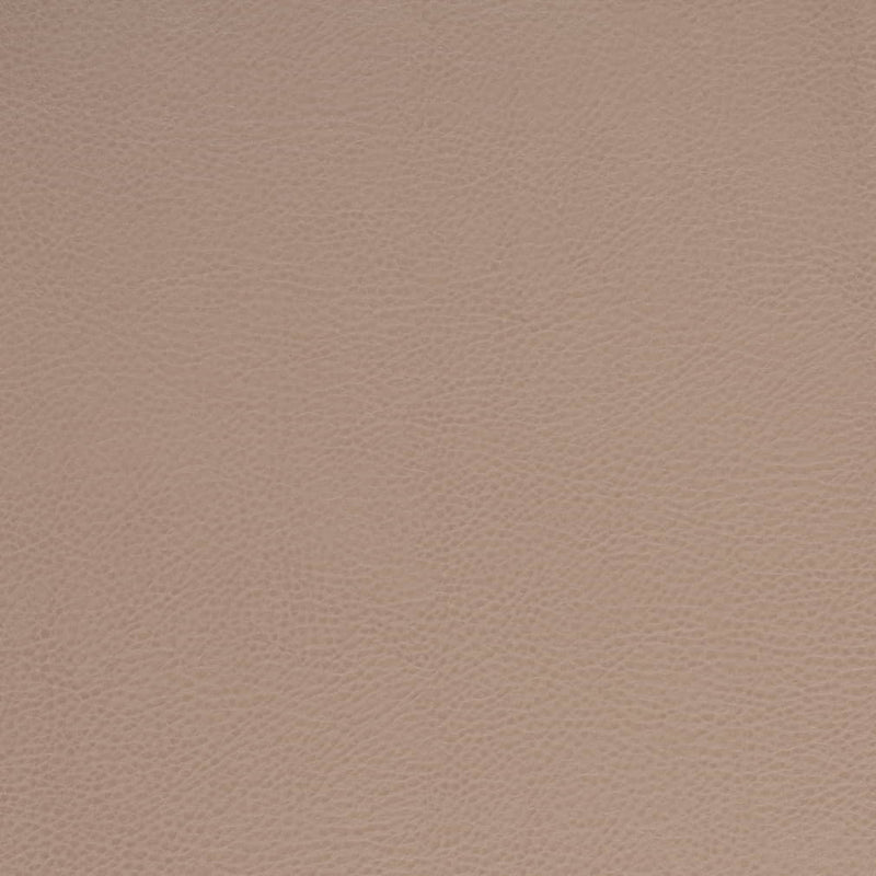 Charlotte - V875 - Clay - Fabric by the Yard Clay