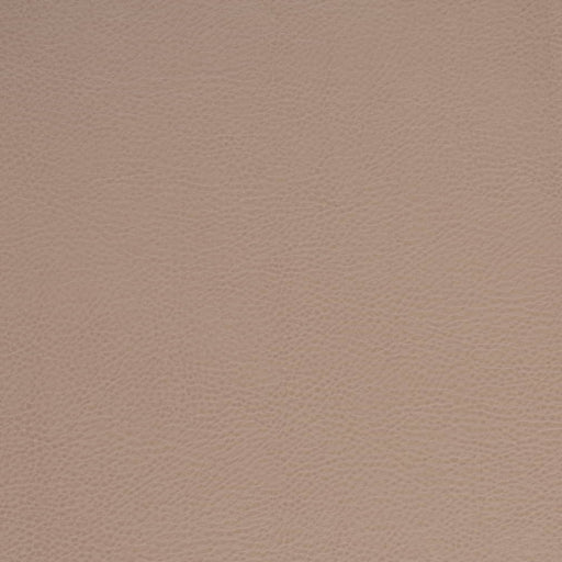 Charlotte - V875 - Clay - Fabric by the Yard Clay