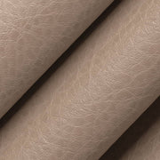 Charlotte - V875 - Clay - Fabric by the Yard - V875 - V875_Rolled