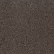 Charlotte - V876 - Graphite - Fabric by the Yard Graphite